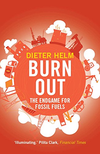 Imagen de archivo de Burn Out: The Endgame for Fossil Fuels a la venta por ThriftBooks-Dallas