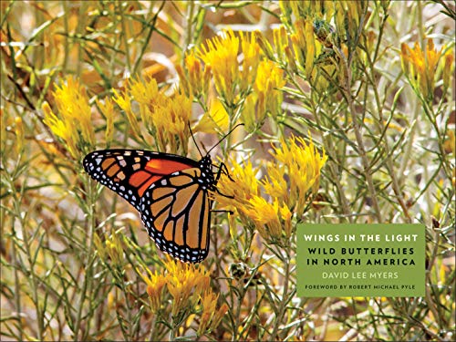 9780300236132: Wings in the Light: Wild Butterflies in North America