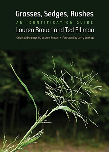 Stock image for Grasses, Sedges, Rushes: An Identification Guide for sale by Lakeside Books