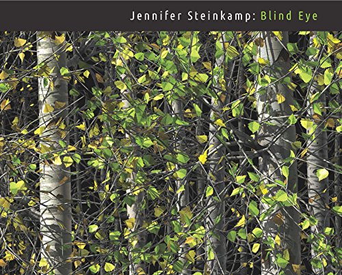 9780300237054: Jennifer Steinkamp: Blind Eye