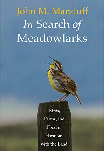 Stock image for In Search of Meadowlarks : Birds, Farms, and Food in Harmony with the Land for sale by Better World Books