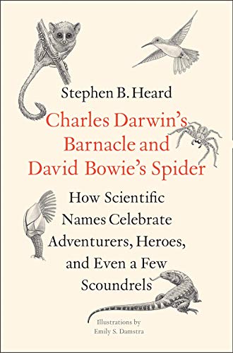 Beispielbild fr Charles Darwin's Barnacle and David Bowie's Spider zum Verkauf von Blackwell's