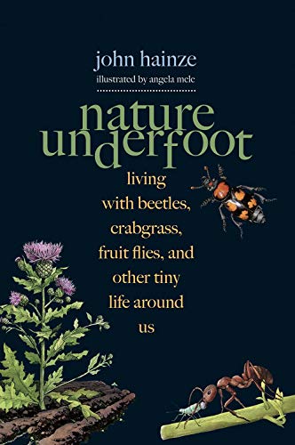 Imagen de archivo de Nature Underfoot: Living with Beetles, Crabgrass, Fruit Flies, and Other Tiny Life Around Us a la venta por Dunaway Books