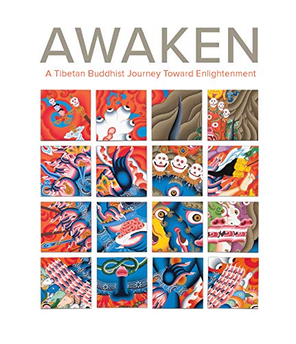 Stock image for Awaken: A Tibetan Buddhist Journey Toward Enlightenment for sale by HPB-Blue