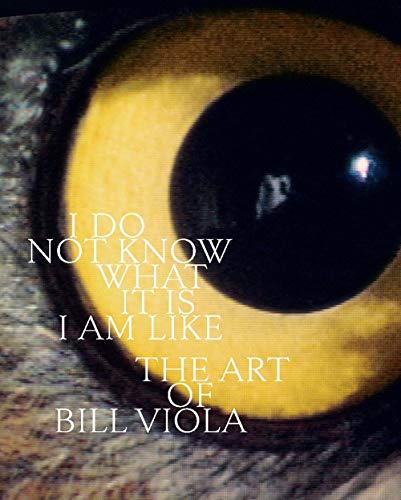Beispielbild fr I Do Not Know What It Is I Am Like: The Art of Bill Viola zum Verkauf von Magers and Quinn Booksellers