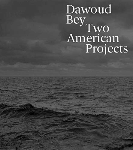 Beispielbild fr Dawoud Bey - Two American Projects zum Verkauf von Blackwell's