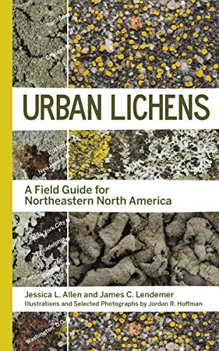 Imagen de archivo de Urban Lichens: A Field Guide for Northeastern North America a la venta por Big River Books