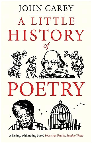 Beispielbild fr A Little History of Poetry zum Verkauf von Better World Books