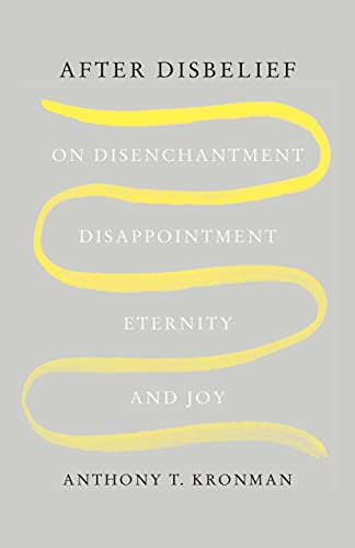 Beispielbild fr After Disbelief: On Disenchantment, Disappointment, Eternity, and Joy zum Verkauf von BooksRun