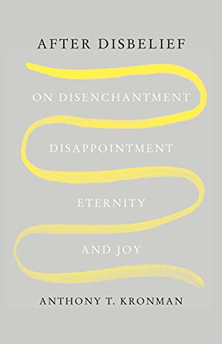 Stock image for After Disbelief: On Disenchantment, Disappointment, Eternity, and Joy for sale by SecondSale