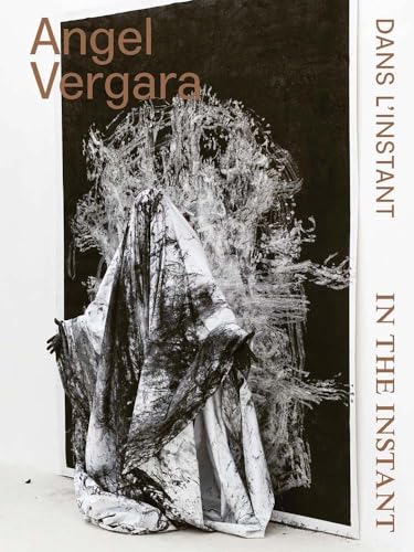 Stock image for Angel Vergara : In the Instant for sale by GreatBookPrices