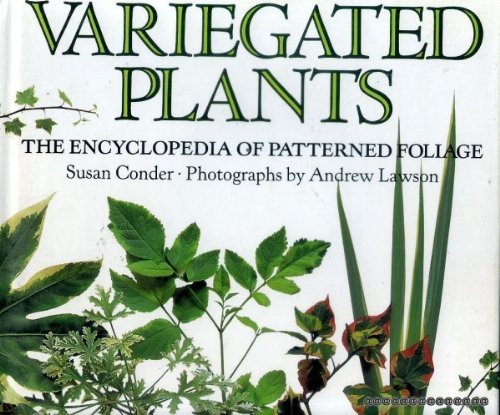 Imagen de archivo de Variegated Plants: The Encyclopedia of Patterned Foliage a la venta por AwesomeBooks