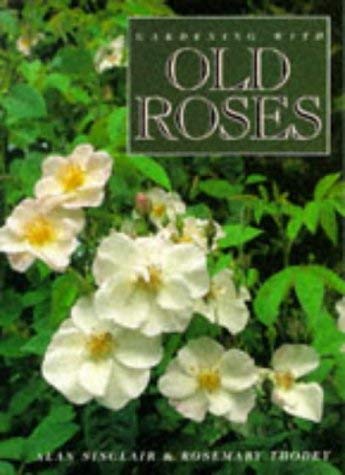 Stock image for Gardening with Old Roses for sale by WorldofBooks