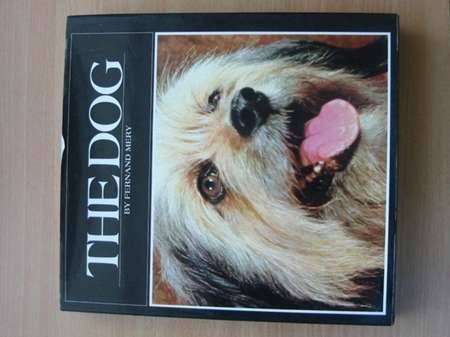 Stock image for The Dog for sale by WorldofBooks