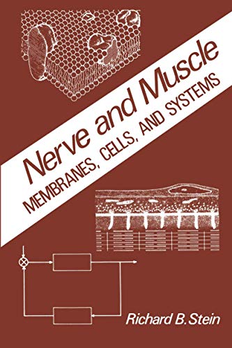 Beispielbild fr Nerve and Muscle : Membranes, Cells and Systems zum Verkauf von Better World Books