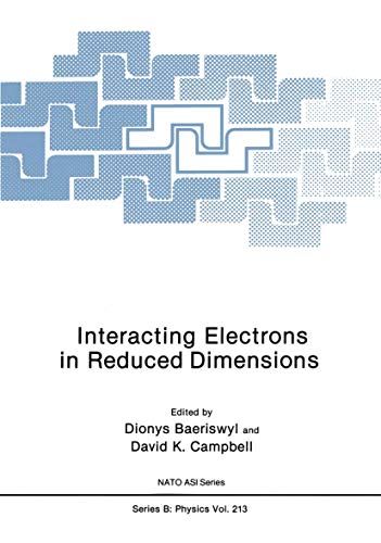 Beispielbild fr Interacting Electrons in Reduced Dimensions zum Verkauf von Better World Books