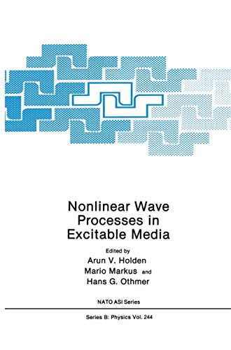 Imagen de archivo de Nonlinear Wave Processes in Excitable Media (NATO Science Series B:, 244) a la venta por Zubal-Books, Since 1961