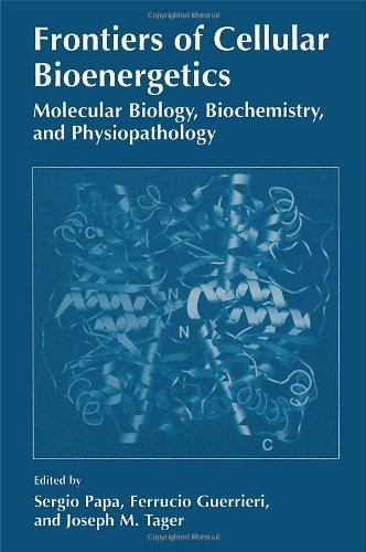 Stock image for Frontiers of Cellular Bioenergetics : Molecular Biology, Biochemistry and Physiopathology for sale by Better World Books