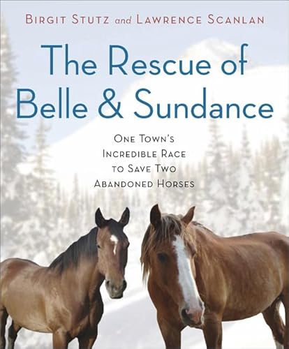 Imagen de archivo de The Rescue of Belle and Sundance: One Towns Incredible Race to Save Two Abandoned Horses (A Merloyd Lawrence Book) a la venta por Bulk Book Warehouse