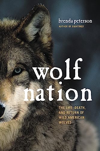 Stock image for Wolf Nation: The Life, Death, and Return of Wild American Wolves (A Merloyd Lawrence Book) for sale by Goodwill of Colorado