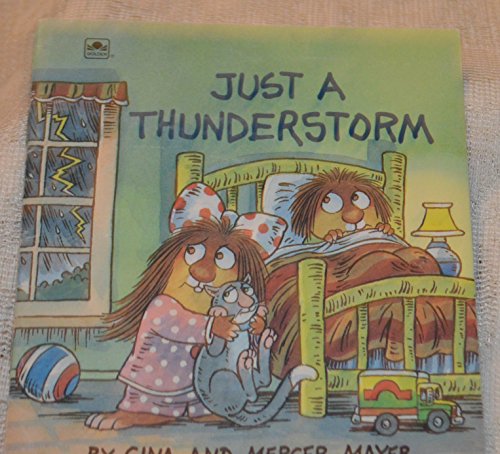 Stock image for Just a Thunderstorm (A Golden Little Look-Look Book) for sale by Gulf Coast Books