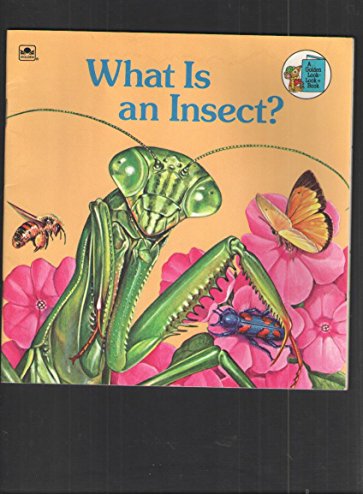 9780307118035: What Is an Insect? (Golden Look-Look Book)
