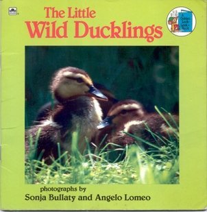 9780307118998: Little Wild Duckling: Photographs