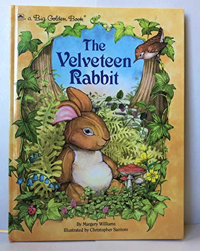 Imagen de archivo de The Velveteen Rabbit a la venta por ThriftBooks-Dallas