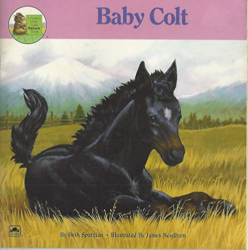Beispielbild fr Baby Colt (A Golden Look-Look Nature Book) zum Verkauf von Wonder Book