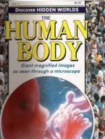 The Human Body (Discover Hidden Worlds) (9780307156655) by Golden Books