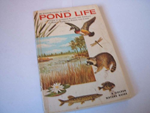 Beispielbild fr Pond Life zum Verkauf von HPB-Ruby