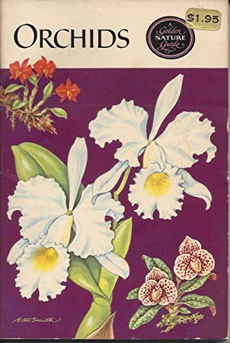 Beispielbild fr Orchids. zum Verkauf von Aderholds Bcher & Lots