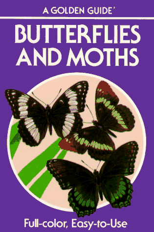 Stock image for Butterflies and Moths: A Guide to the More Common American Species (Golden Guides) for sale by SecondSale