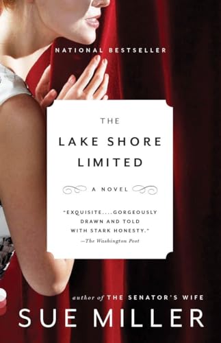 Stock image for The Lake Shore Limited (Vintage Contemporaries) for sale by SecondSale