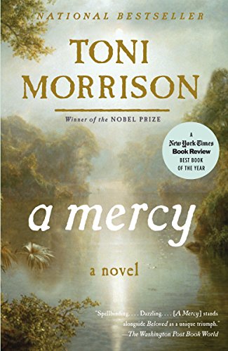 9780307276766: A Mercy (Vintage International)