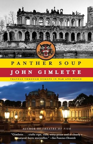 Stock image for Panther Soup: Travels Through Europe in War and Peace for sale by ZBK Books