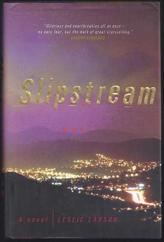 9780307337993: Slipstream: A Novel