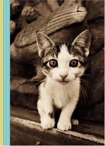 Imagen de archivo de Kitten Smitten 5x7 Journal a la venta por Books From California
