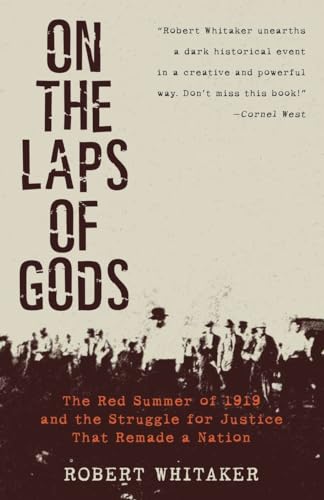 Imagen de archivo de On the Laps of Gods: The Red Summer of 1919 and the Struggle for Justice That Remade a Nation a la venta por GF Books, Inc.