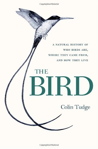 Beispielbild fr The Bird : A Natural History of Who Birds Are, Where They Came from, and How They Live zum Verkauf von Better World Books