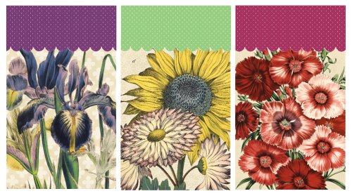 9780307342188: Botanical Mini Note Pads