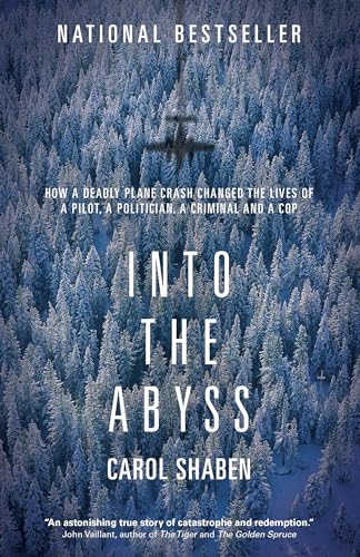 Stock image for Into the Abyss: How a Deadly Plane Crash Changed the Lives of a Pilot, a Politician, a Criminal and a Cop for sale by ThriftBooks-Atlanta