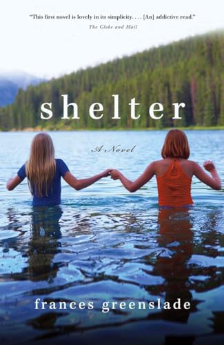 Stock image for Shelter: A Novel for sale by Hourglass Books