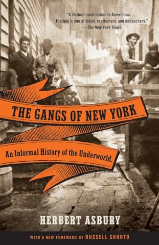 Imagen de archivo de The Gangs of New York: An Informal History of the Underworld a la venta por SecondSale