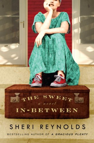 Stock image for The Sweet In-Between: A Novel for sale by SecondSale