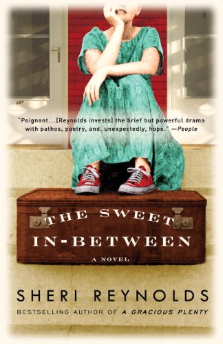 Stock image for The Sweet In-Between: A Novel for sale by Gulf Coast Books