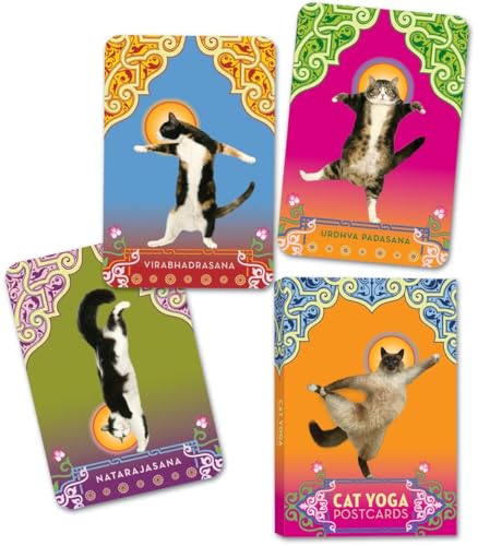 Beispielbild fr Cat Yoga Postcards zum Verkauf von medimops