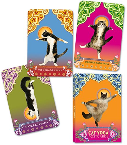 9780307395429: Cat Yoga Postcards