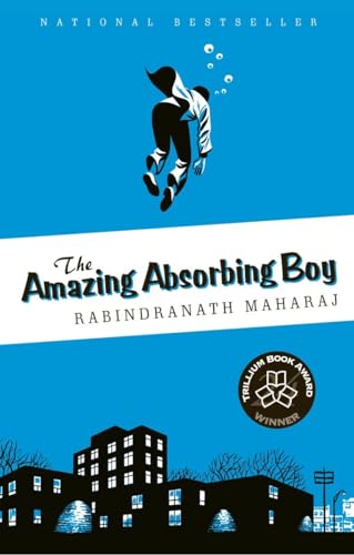 9780307397287: The Amazing Absorbing Boy
