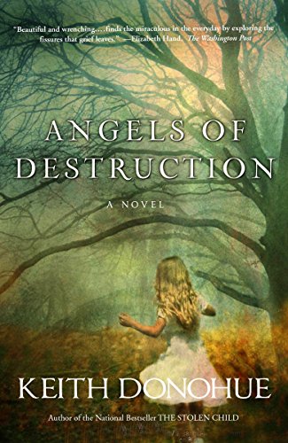 Imagen de archivo de Angels of Destruction: A Novel a la venta por Your Online Bookstore